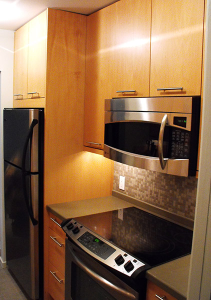 Kitchen Remodel Modern Condo 2